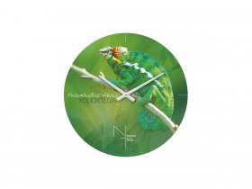 Часы настенные Nicole Time NT503 в Линёво - linyovo.mebel-nsk.ru | фото
